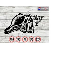 seashell silhouette 6, seashell svg, summer svg, ocean svg, beach svg - clipart, vector, cricut, cnc, laser, decal stick