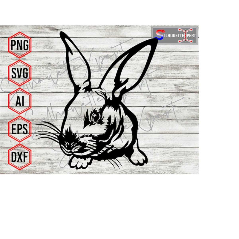 MR-4102023122310-cute-rabbit-svg-bunny-svg-rabbit-svg-cricut-cnc-laser-image-1.jpg