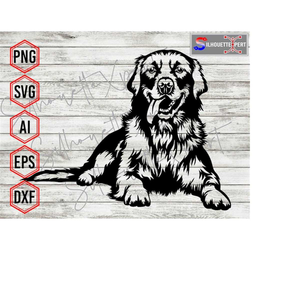 MR-4102023122857-peeking-golden-retriever-svg-smiling-dog-svg-animal-svg-image-1.jpg