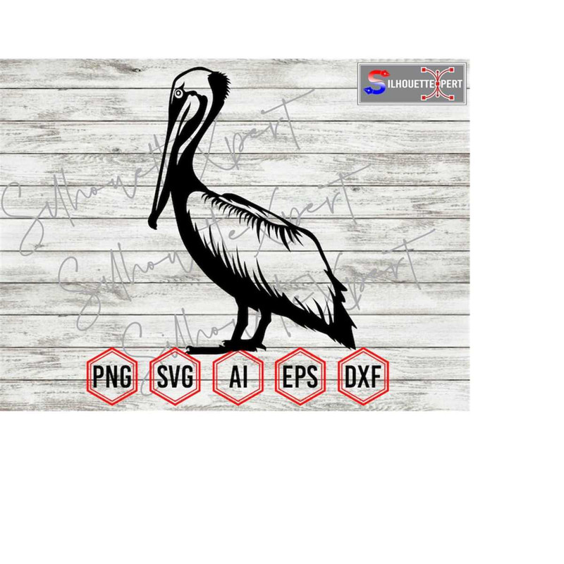 MR-4102023123328-standing-pelican-svg-pelican-svg-silhouette-2-clipart-image-1.jpg