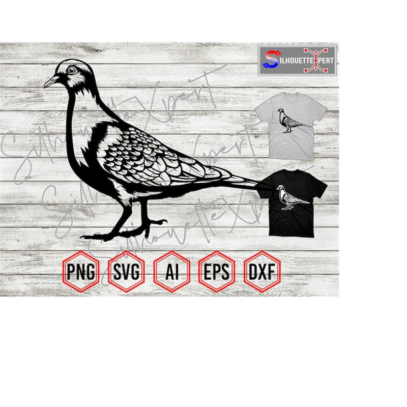 MR-4102023124149-dove-svg-cute-dove-svg-dove-vectror-clipart-silhouette-image-1.jpg