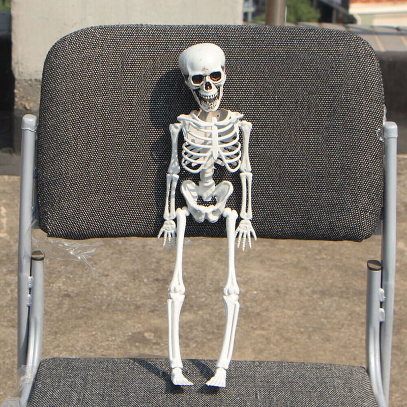 s-l1600 - 2023-10-04T125240.199.jpg