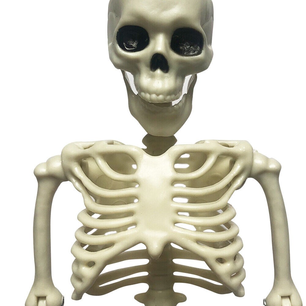 s-l1600 - 2023-10-04T125242.248.jpg