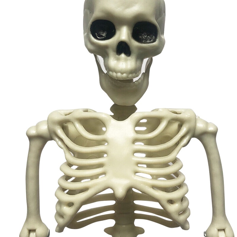 s-l1600 - 2023-10-04T125242.248.jpg