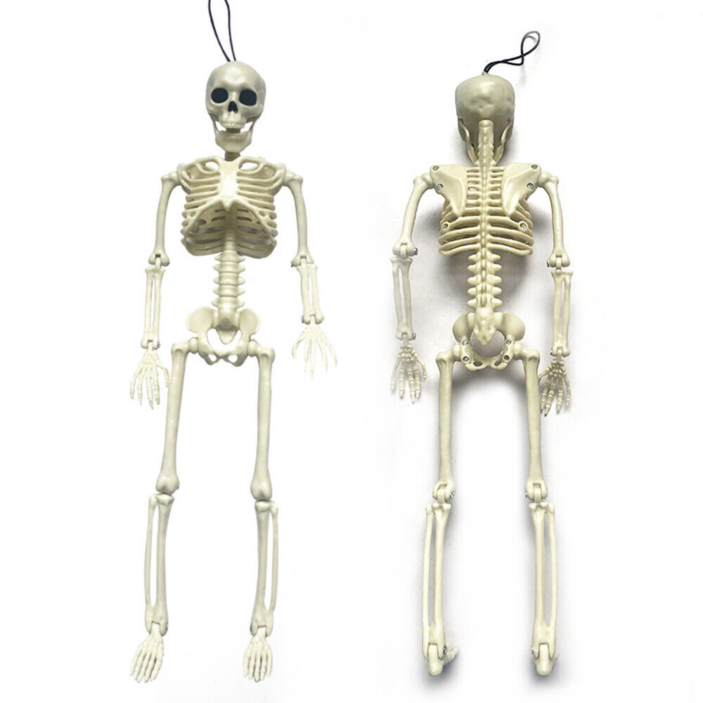 s-l1600 - 2023-10-04T125245.478.jpg