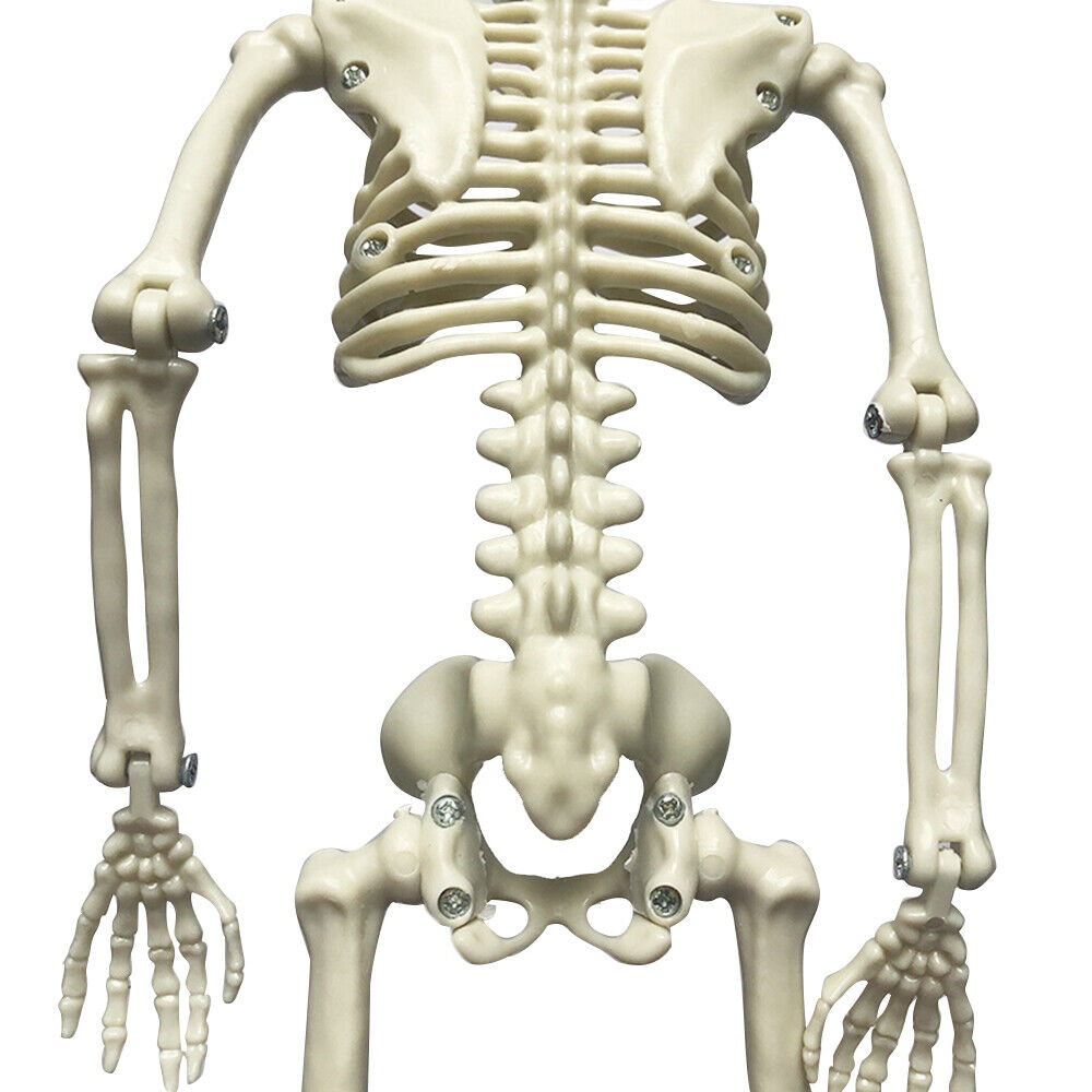 s-l1600 - 2023-10-04T125238.220.jpg