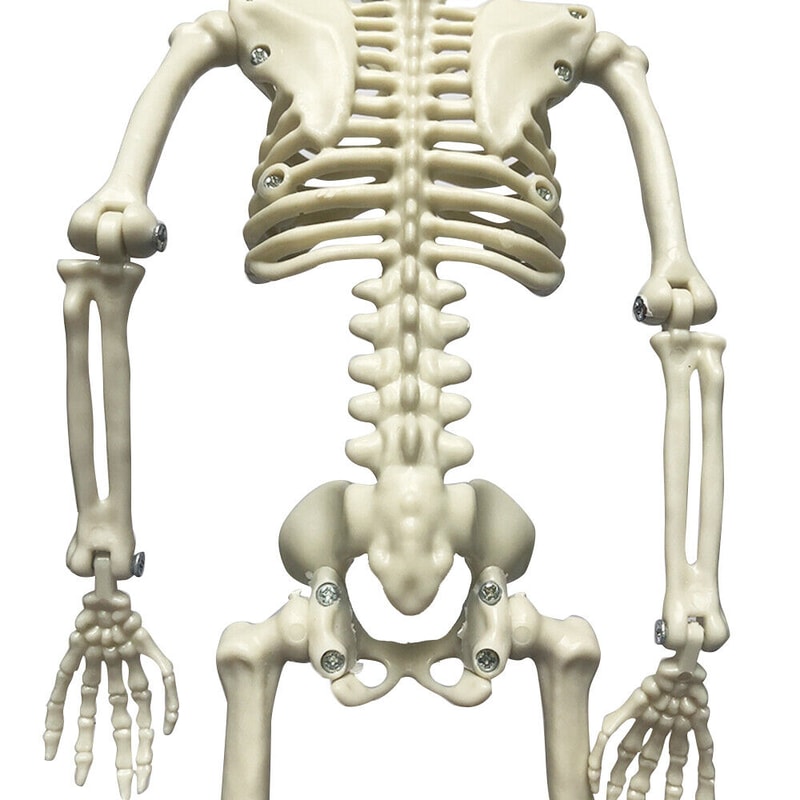 s-l1600 - 2023-10-04T125238.220.jpg