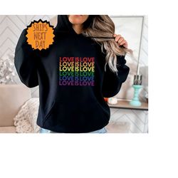 love is love hoodie, womens love is love hoodie, pride hoodie,mens love is love hoodie,kindness hoodie,lgbtq support hoo