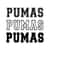 MR-4102023164535-pumas-svg-pumas-varsity-font-go-pumas-svg-pumas-jersey-image-1.jpg