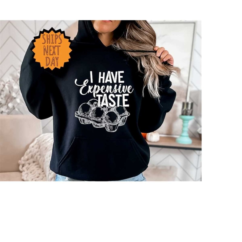 MR-4102023165320-i-have-expensive-taste-hoodie-funny-eggs-hoodie-funny-image-1.jpg