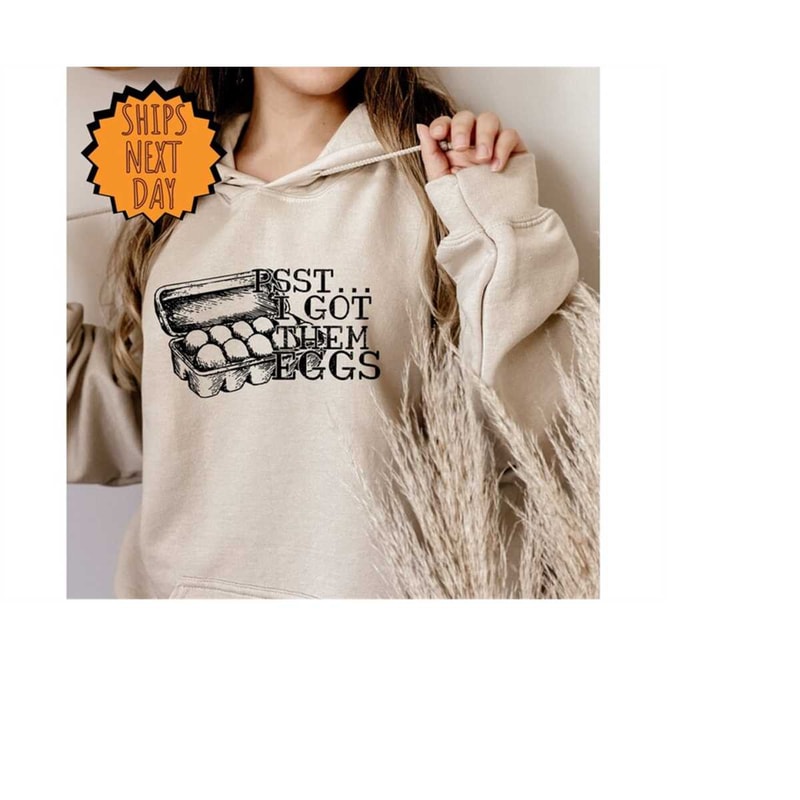 MR-4102023172541-pssti-got-them-eggs-hoodie-farmer-hoodie-chicken-lover-image-1.jpg