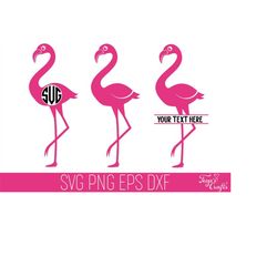 flamingo svg, flamingo monogram svg, flamingo png, flamingo clipart, flamingo cut file, beach svg, flamingo cricut, flam