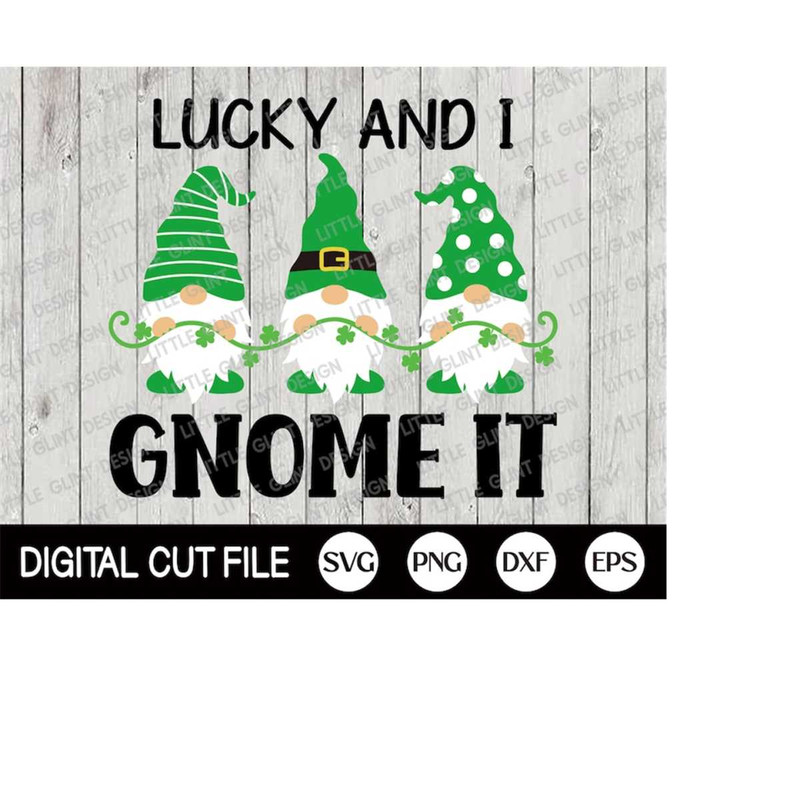 MR-4102023185225-st-patricks-day-svg-gnome-svg-lucky-and-i-gnome-it-image-1.jpg
