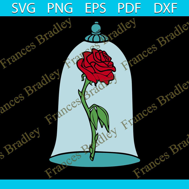 MR-frances-bradley-png20090026-4102023191347.jpeg