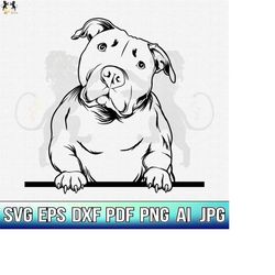 pitbull svg, american pit bull svg, pitbull clipart, pitbull vector, pitbull cricut, dog paw svg, pitbull cut file, dog