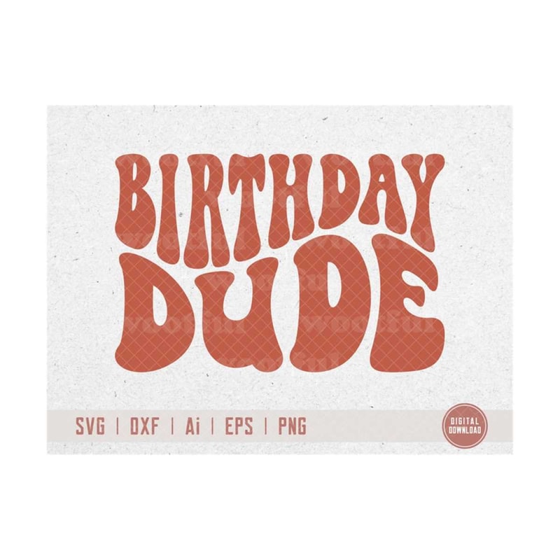 MR-4102023194622-birthday-dude-svg-boys-birthday-svg-groovy-birthday-svg-its-image-1.jpg