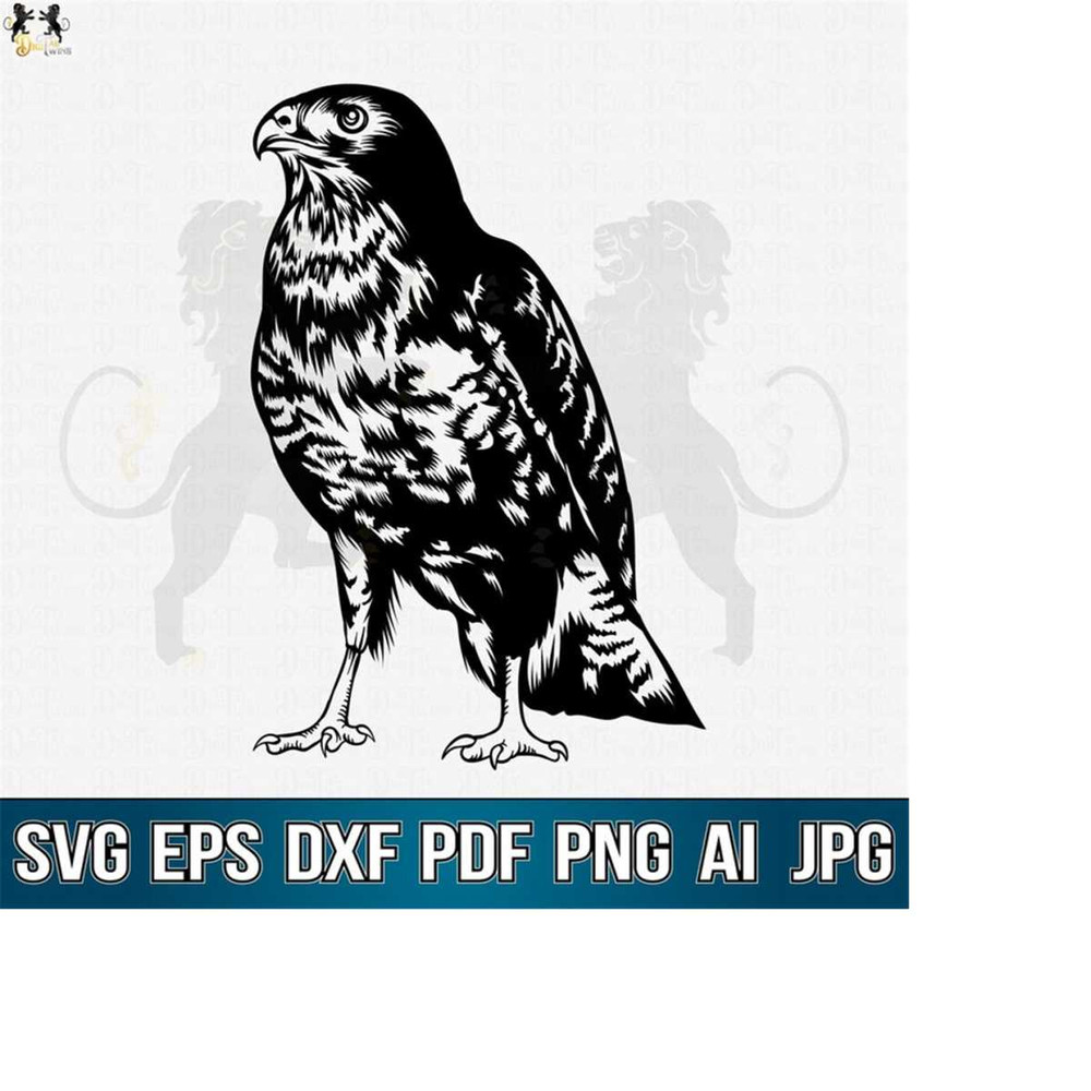 MR-4102023195412-falcon-svg-hawk-svg-falcon-clipart-falcon-vector-falcon-image-1.jpg