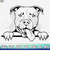 MR-410202320336-pitbull-svg-american-pit-bull-svg-pitbull-clipart-pitbull-image-1.jpg