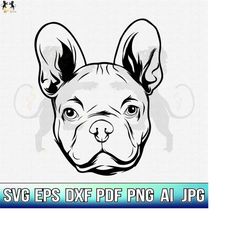 french bulldog svg, frenchie svg, french bulldog clipart, bulldog svg, french bulldog cricut, frenchie vector, french bu