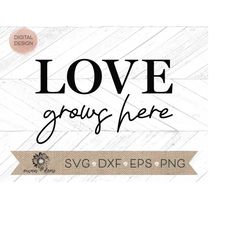 love grows here svg -  love grows here dxf, eps, png - love cricut cut file - love silhouette cut file - sign svg