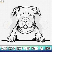 pitbull svg, american pit bull svg, pitbull clipart, pitbull vector, pitbull cricut, dog paw svg, pitbull cut file, dog