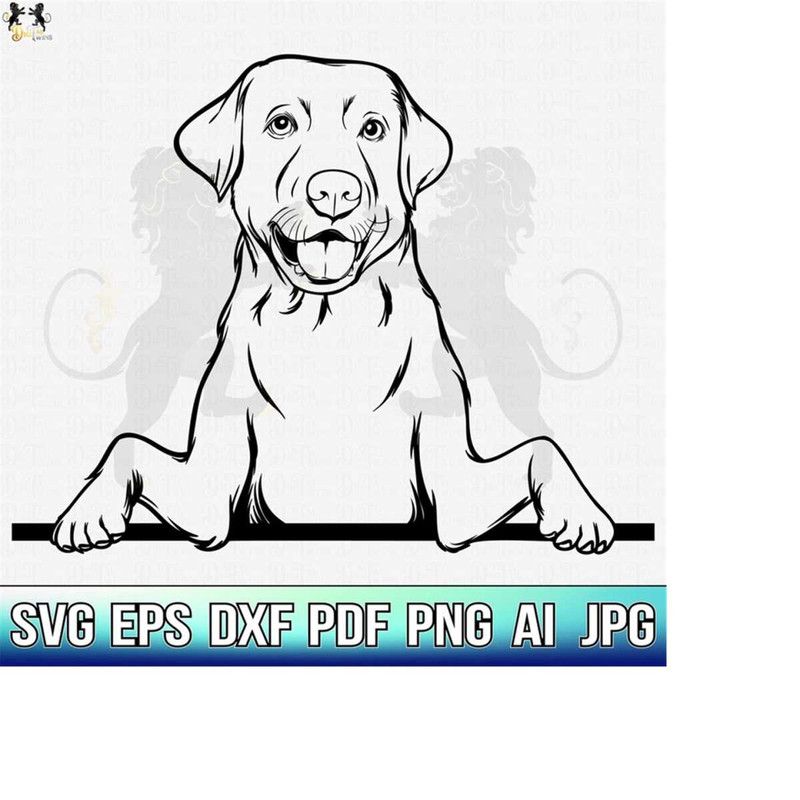 MR-4102023204710-labrador-svg-labrador-retriever-svg-labrador-clipart-image-1.jpg