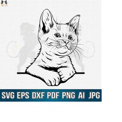 cat svg, cute cat svg, cat clipart, cat cricut, cat cutfile, peeking cat svg, kitty svg, cat printable, cat shirt svg, c