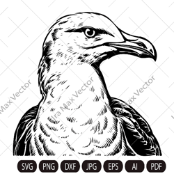 Seagull Svg, Nautical Svg, Seagull Dxf, Seagull Png, Seagull Clipart, Seagull Files, Gull svg, Sea bird svg, free Bird,