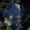 2Angel wings costume Cosplay;Wings from isolon.jpg