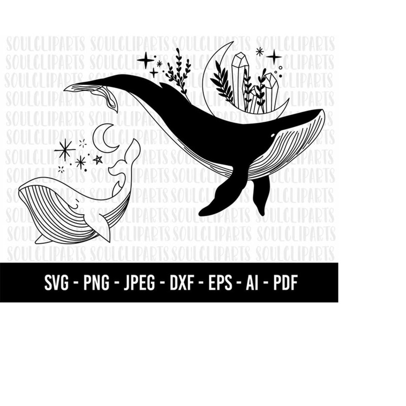 MR-4102023234741-cod85-whale-svg-file-whale-cut-file-whale-floral-svg-file-image-1.jpg