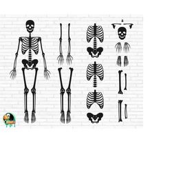 skeleton parts svg, skeleton bones svg, body parts svg, skeleton parts cut files, cricut, silhouette, png, svg, eps, dxf