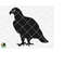 MR-510202304137-american-eagle-svg-eagle-svg-eagle-head-svg-eagle-vector-image-1.jpg