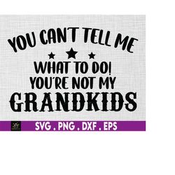 you can't tell me what to do you are not my grandkids svg, grandma svg, grandpa svg, gift for grandparents, funny grandc