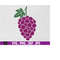 MR-510202305247-grapes-grapes-svg-grape-svg-fruit-summer-svg-purple-grape-image-1.jpg