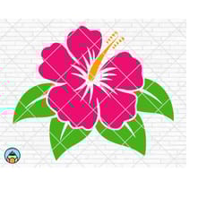 hibiscus flower svg, hibiscus svg, flower svg, hibiscus clip art, hawaiian flower svg, tropical clip art, dxf, cricut, s