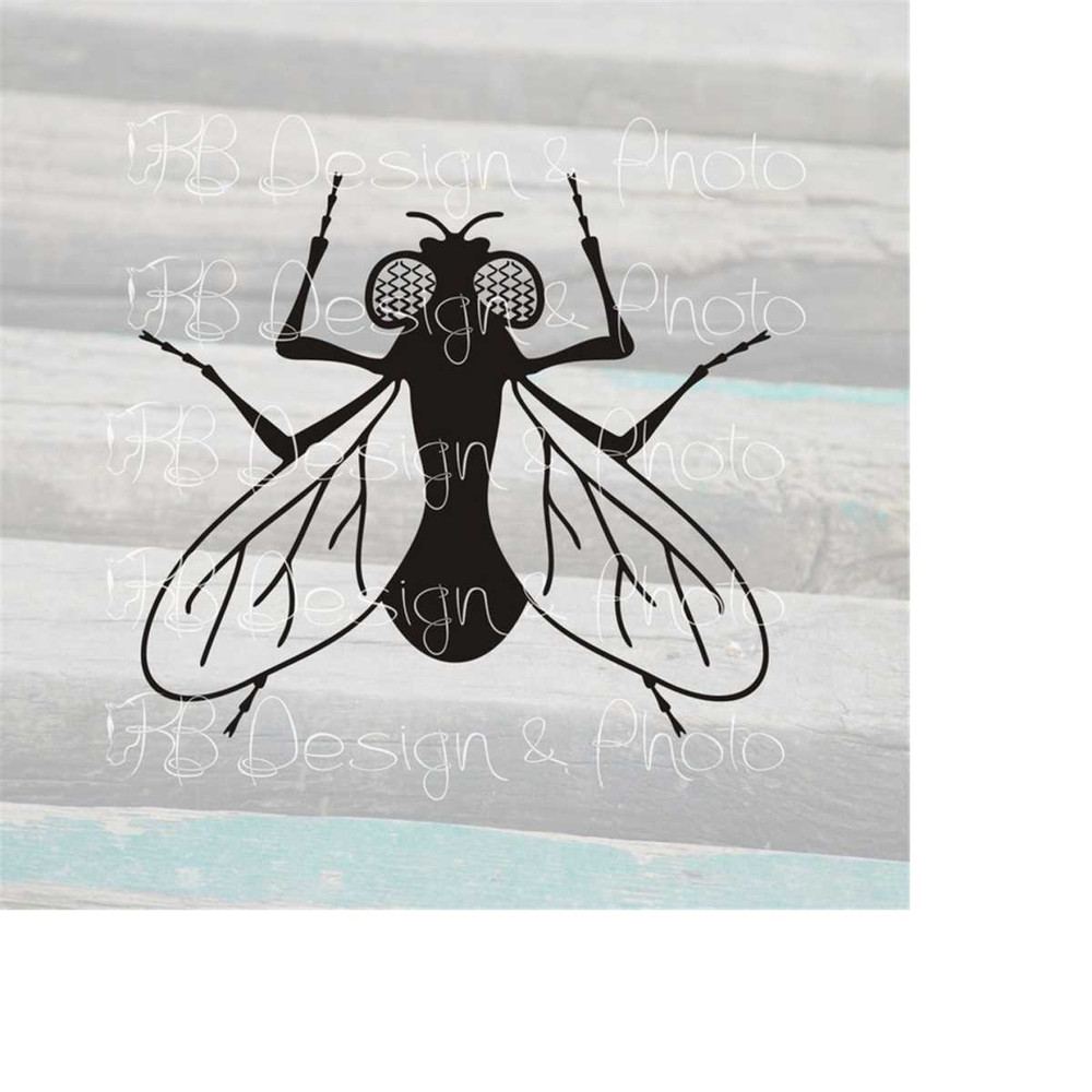 MR-51020238947-fly-vectorraster-svg-png-jpg-image-1.jpg