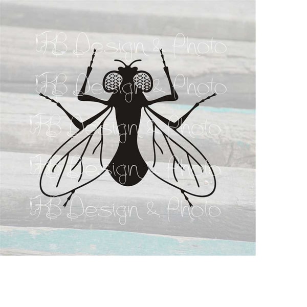 Fly Vector/Raster- SVG, PNG, JPG - Inspire Uplift