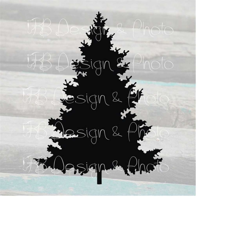 MR-510202382411-evergreen-tree-vectorraster-svg-png-jpg-image-1.jpg
