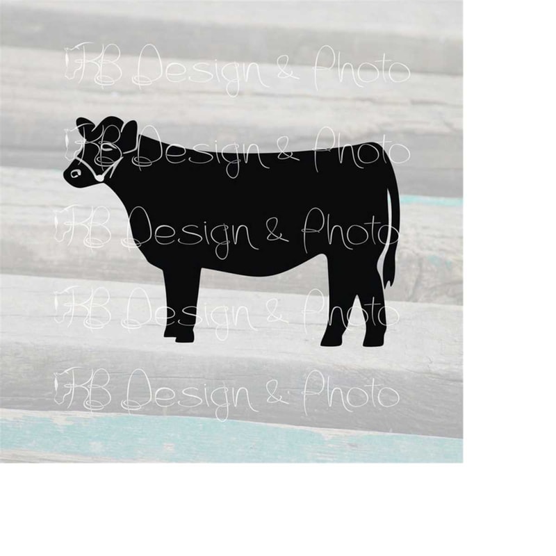 MR-510202383237-show-heifer-cow-vectorraster-svg-png-jpg-image-1.jpg