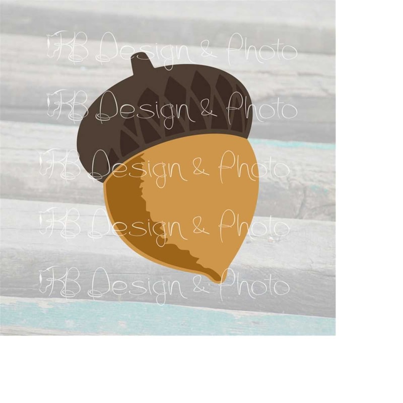 MR-510202383442-acorn-vectorraster-svg-png-jpg-image-1.jpg