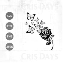 rose butterflies svg | roses svg | butterfly svg | rose vector | butterfly vector | flower |butterfly and flower | clipa