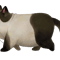 Cat (2).png