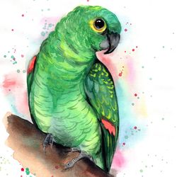 Bird watercolor, original birds painting art, bird painting parrots, parrot watercolor, home decor by Anne Gorywine