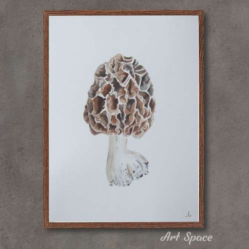 Original watercolor painting "Morel" botanical illustration, photorealism, interior decoration, plant, nature, for