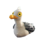 Seagull (1).png
