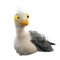 Seagull (2).png