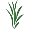 Seaweed (1).png