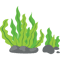 Seaweed (2).png