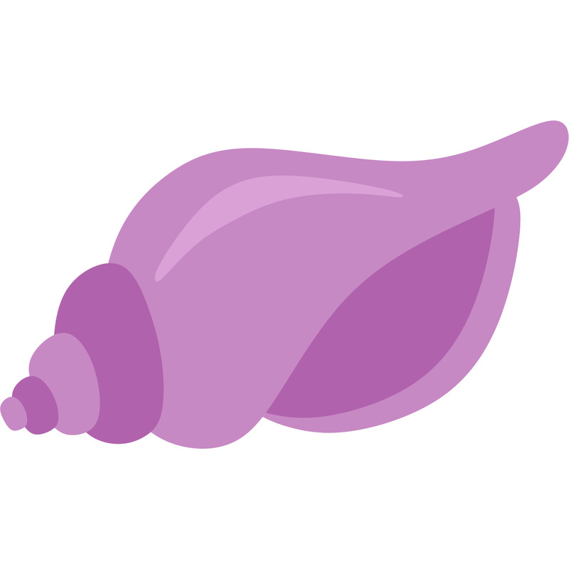 Shell (2).png