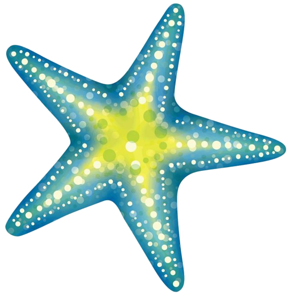 Starfish (1).png